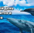 23 июля отмечается День китов и дельфинов - Соцзащита населения по Темниковскому району