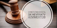 В Темниковский  районный суд Республики Мордовия поступило для рассмотрения уголовное дело в отношении 47-летнего  мужчины, обвиняемого в  совершении преступления, предусмотренного  ч.1 ст.157  УК РФ - Темниковский районный суд