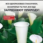 Правила, которые помогут сберечь природу в это время
